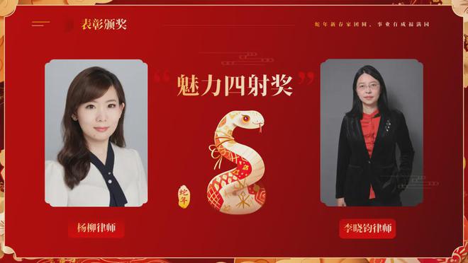 章——云嘉2025年会盛典圆满举行麻将胡了电子游戏云聚嘉光 律耀华(图2)