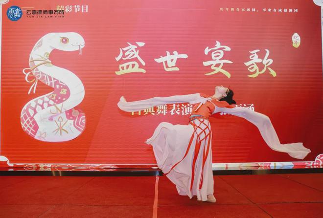 章——云嘉2025年会盛典圆满举行麻将胡了电子游戏云聚嘉光 律耀华(图6)