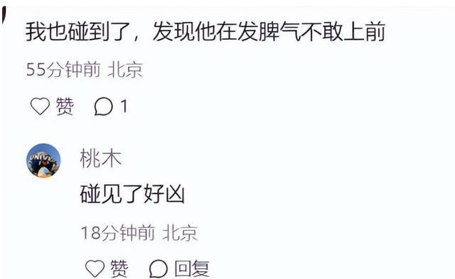 展现了杜星霖的“窘境”刘晓庆果然没说错PG电子麻将胡了2和张纪中的一趟旅游(图10)